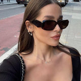Paloma – Elegantne Päikeseprillide Kollektsioon